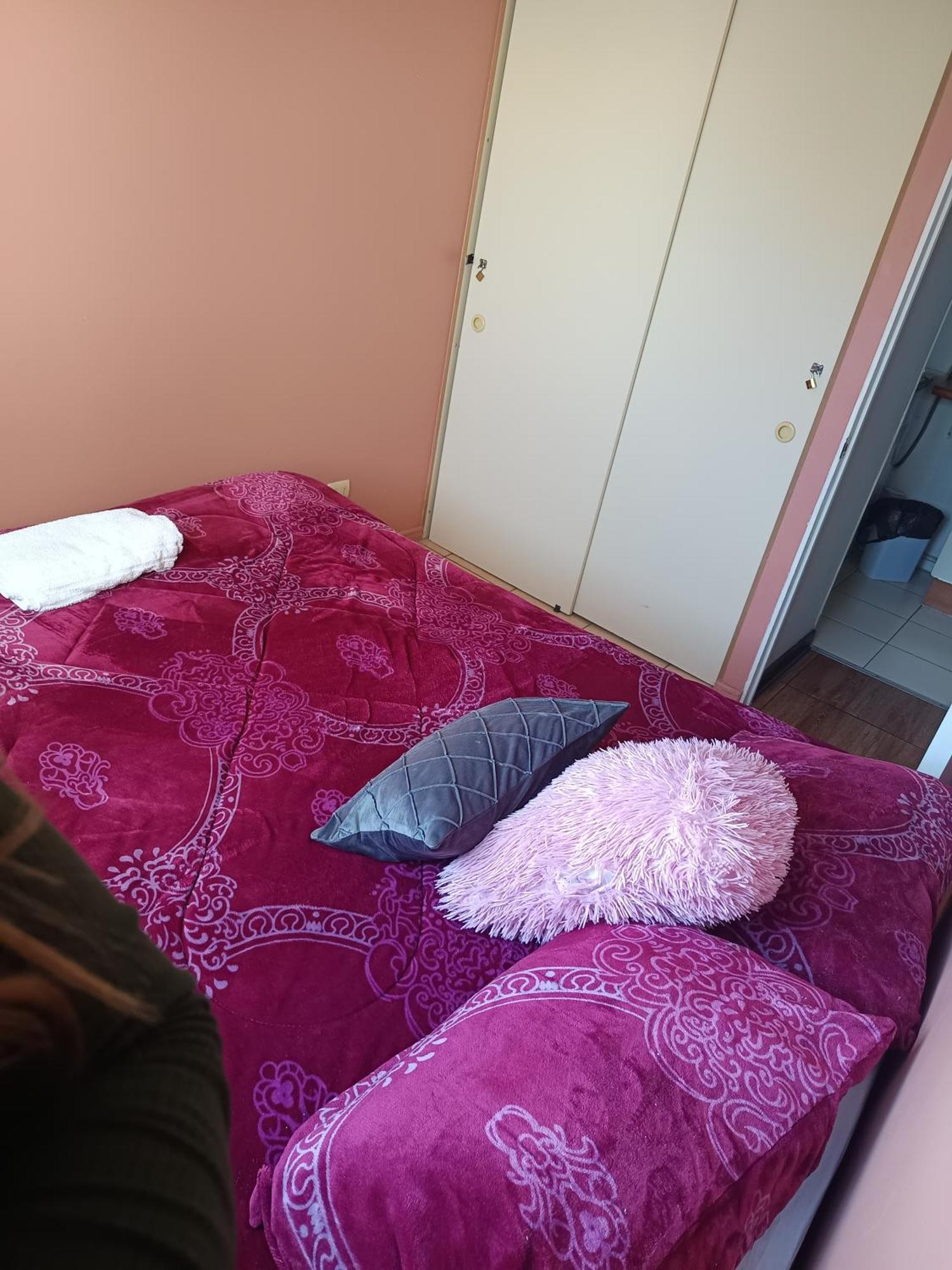 Departamento En Santiago Metro Nuble Apartman Kültér fotó
